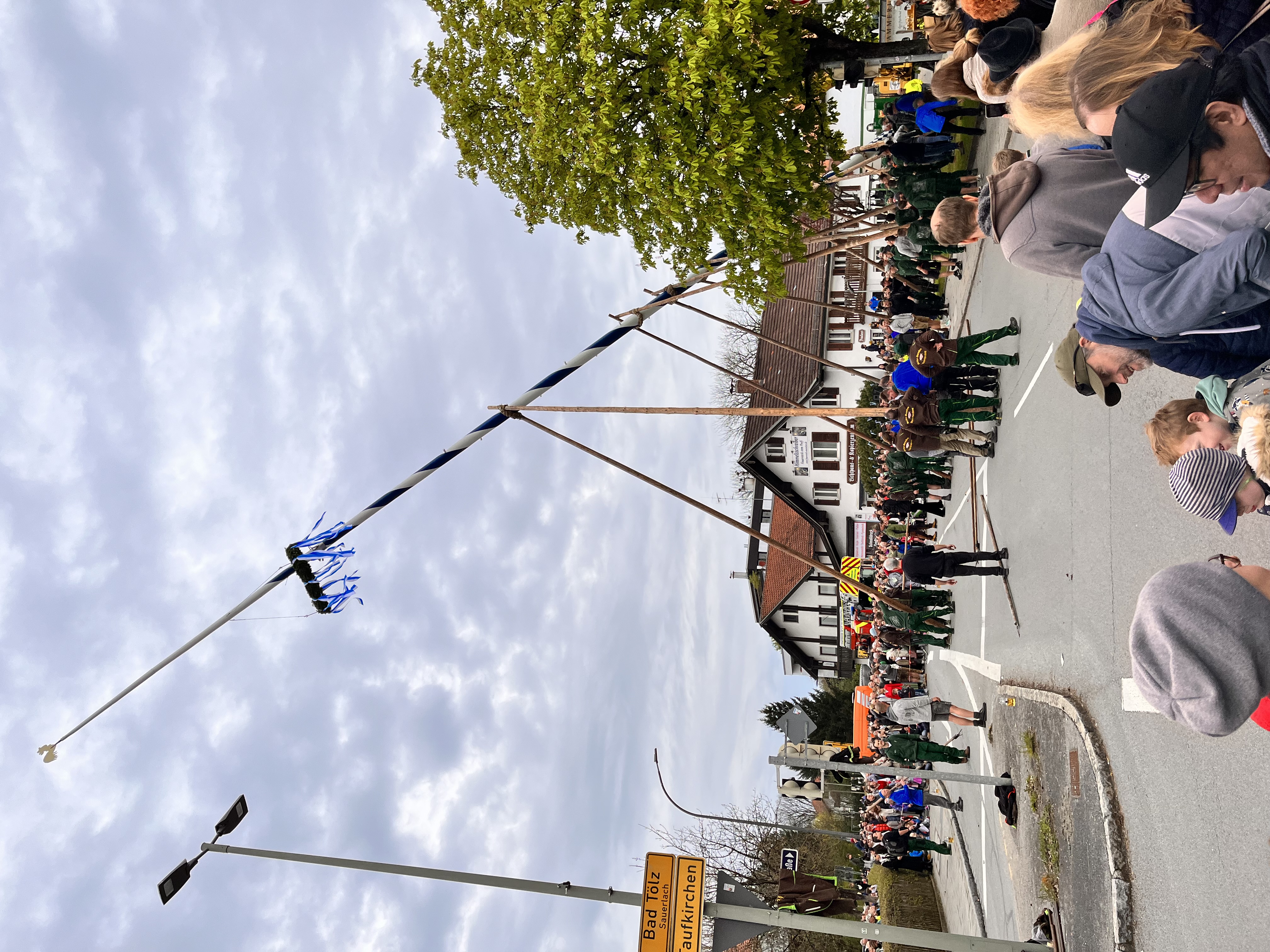 Raising the Maibaum (maypole), a traditional Maifest celebration